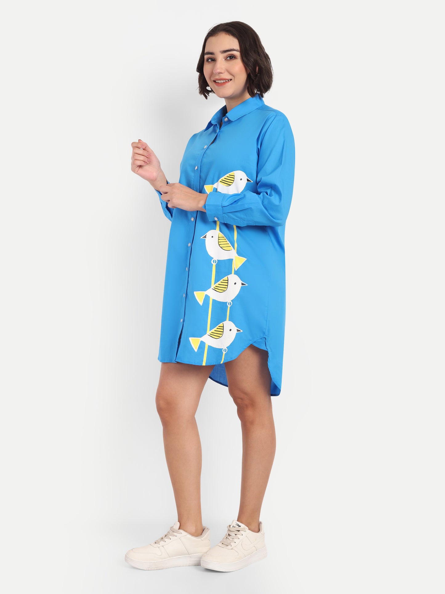 Blue Shirt Dress