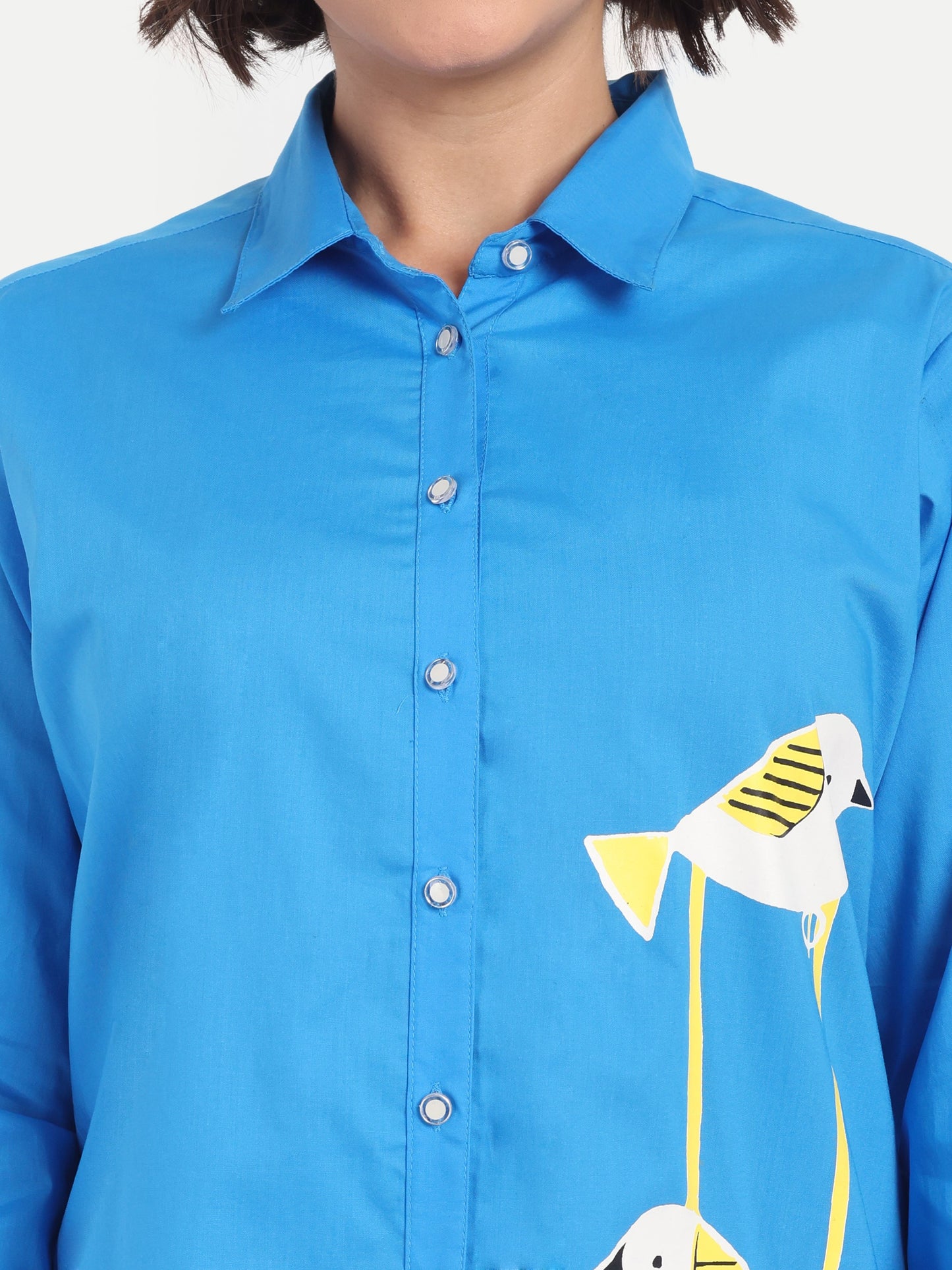 Blue Shirt Dress